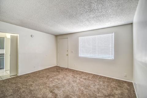 147 E Ivy St, Mesa, AZ 85201 photo 7
