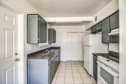 147 E Ivy St, Mesa, AZ 85201 photo 13