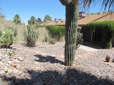 2912 E Isabella Ave, Mesa, AZ 85204 photo 17