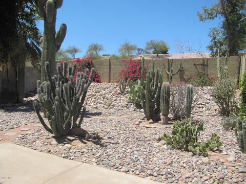 2912 E Isabella Ave, Mesa, AZ 85204 photo 16