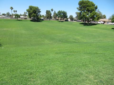 2912 E Isabella Ave, Mesa, AZ 85204 photo 32