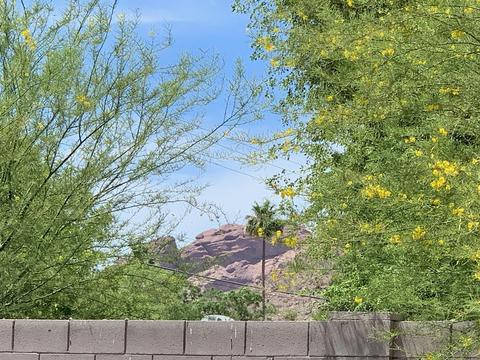 5602 Exeter Blvd, Phoenix, AZ 85018 photo 2