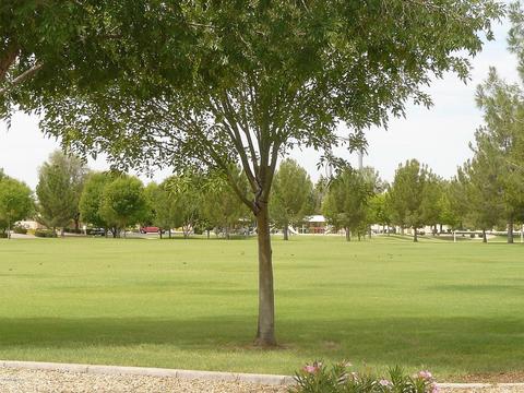 2053 E Arabian Dr, Gilbert, AZ 85296 photo 21