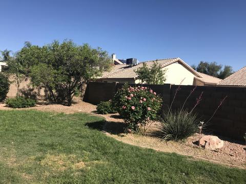 7227 E June St, Mesa, AZ 85207 photo 14