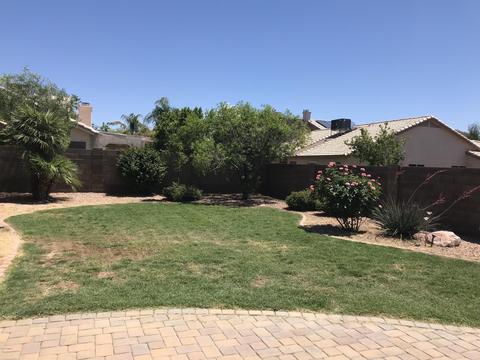 7227 E June St, Mesa, AZ 85207 photo 13