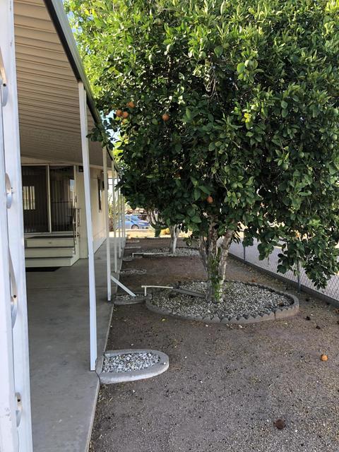 1376 E 23rd Ave, Apache Junction, AZ 85119 photo 22