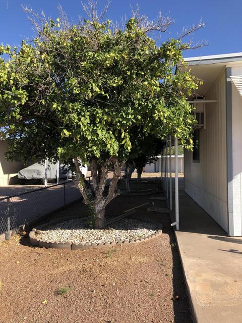 1376 E 23rd Ave, Apache Junction, AZ 85119 photo 20