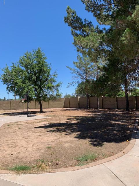 4645 Ellis Cir, Mesa, AZ 85205 photo 25