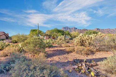 6770 E Superstition View Dr, Apache Junction, AZ 85119 photo 4