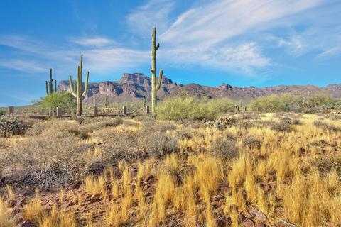 6770 E Superstition View Dr, Apache Junction, AZ 85119 photo 43