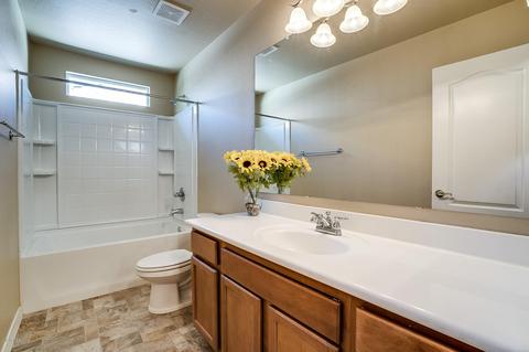 3825 Edna Dr, Gilbert, AZ 85296 photo 45