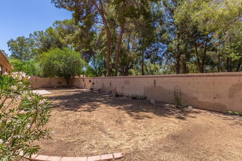 1407 E Redfield Rd, Gilbert, AZ 85234 photo 21