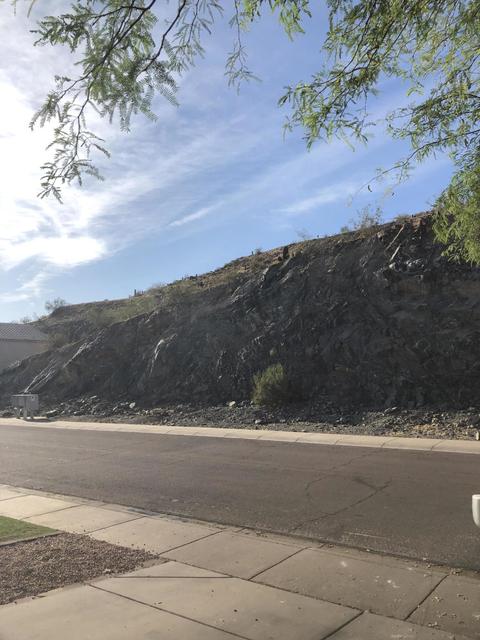 1511 E South Fork Dr, Phoenix, AZ 85048 photo 25