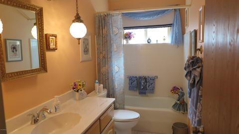 4749 E Dolphin Ave, Mesa, AZ 85206 photo 10