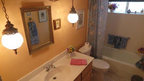 4749 E Dolphin Ave, Mesa, AZ 85206 photo 13