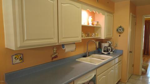 4749 E Dolphin Ave, Mesa, AZ 85206 photo 19