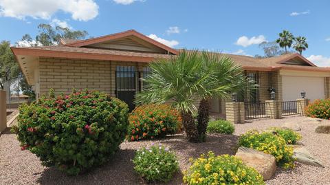 4749 E Dolphin Ave, Mesa, AZ 85206 photo 6