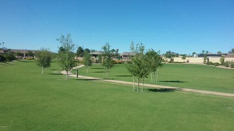 3246 E Knoll Cir, Mesa, AZ 85213 photo 57