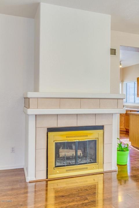 1542 E Scott Ave, Gilbert, AZ 85234 photo 22