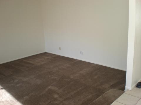 1528 E Garnet Ave, Mesa, AZ 85204 photo 3
