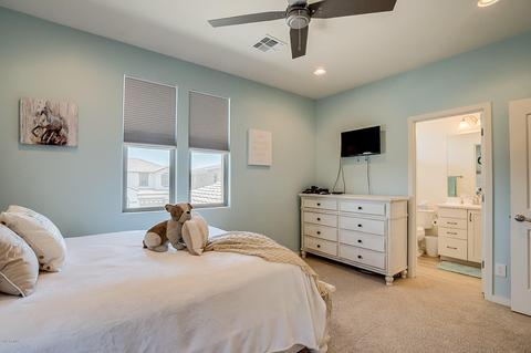 2912 E Virginia St, Mesa, AZ 85213 photo 20