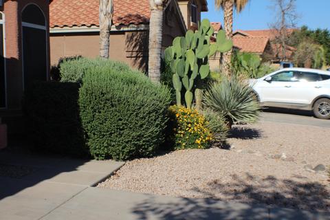 7206 E Lindner Ave, Mesa, AZ 85209 photo 63