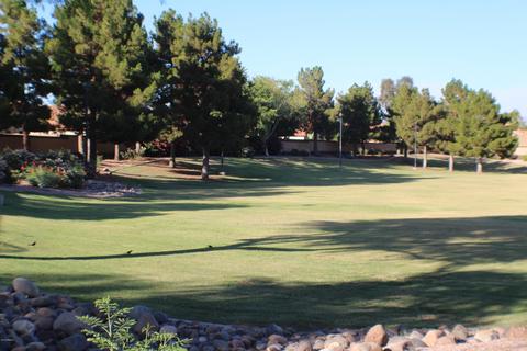 7206 E Lindner Ave, Mesa, AZ 85209 photo 73