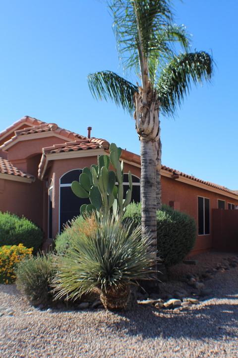 7206 E Lindner Ave, Mesa, AZ 85209 photo 7