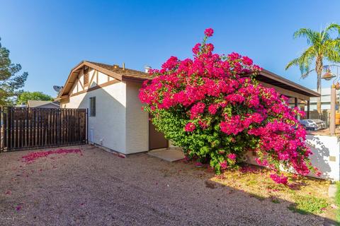 4031 E Downing St, Mesa, AZ 85205 photo 19