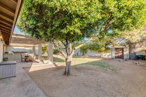 3033 E Turney Ave, Phoenix, AZ 85016 photo 32