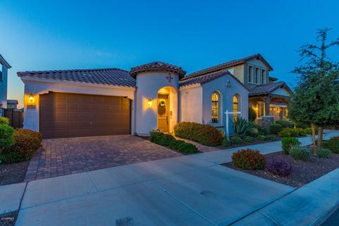 10712 E Hawk Ave, Mesa, AZ 85212 photo 23