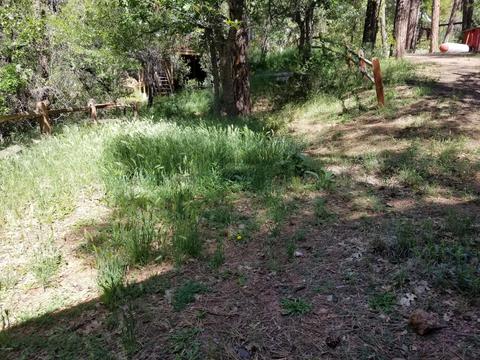 6775 Ute Trl, Pine, AZ 85544 photo 23