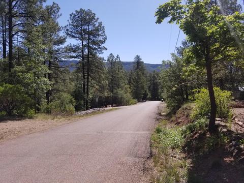 6775 Ute Trl, Pine, AZ 85544 photo 27