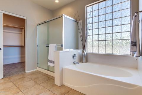 9950 E Lobo Ave, Mesa, AZ 85209 photo 19