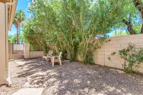 381 E Arabian Dr, Gilbert, AZ 85296 photo 23