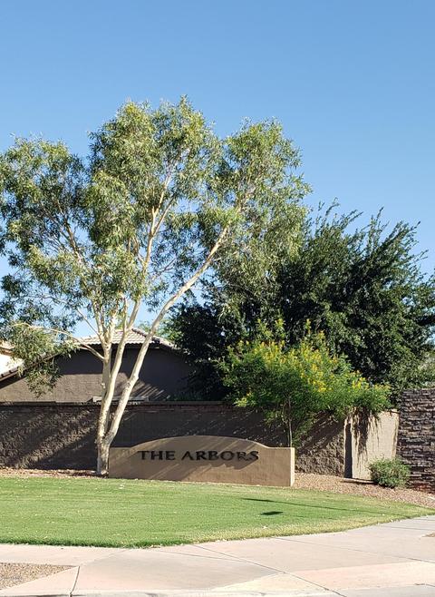 3650 E Timberline Rd, Gilbert, AZ 85297 photo 2