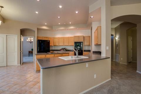 1419 E Captain Dreyfus Ave, Phoenix, AZ 85022 photo 16