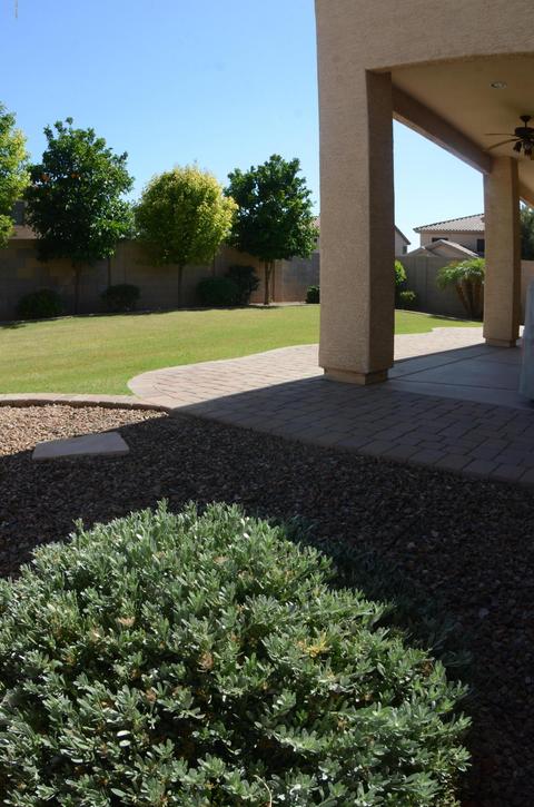 11221 E Stearn Ave, Mesa, AZ 85212 photo 53