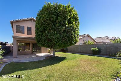 3233 E Blackhawk Dr, Phoenix, AZ 85050 photo 26