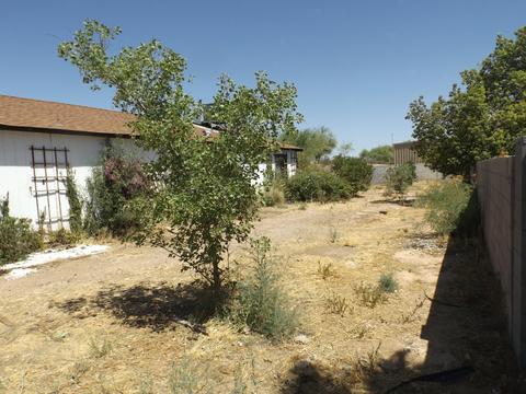 3418 Everett Dr, Phoenix, AZ 85032 photo 9