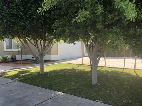 1726 E Jones Ave, Phoenix, AZ 85040 photo 4