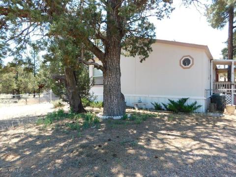 2175 Hashknife Dr, Overgaard, AZ 85933 photo 3