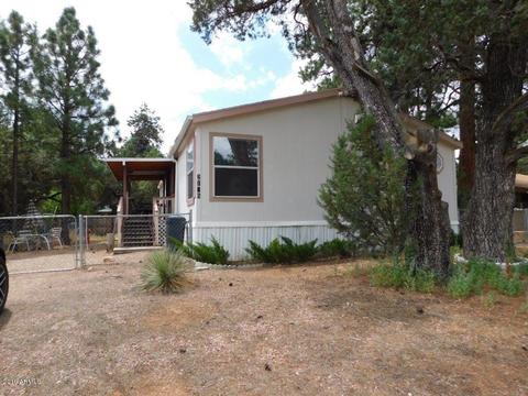 2175 Hashknife Dr, Overgaard, AZ 85933 photo 31