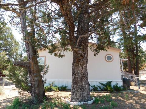 2175 Hashknife Dr, Overgaard, AZ 85933 photo 2