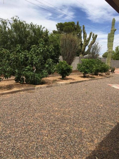 5714 E University Dr, Mesa, AZ 85205 photo 19