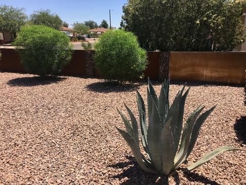 3335 E Pierce St, Phoenix, AZ 85008 photo 20