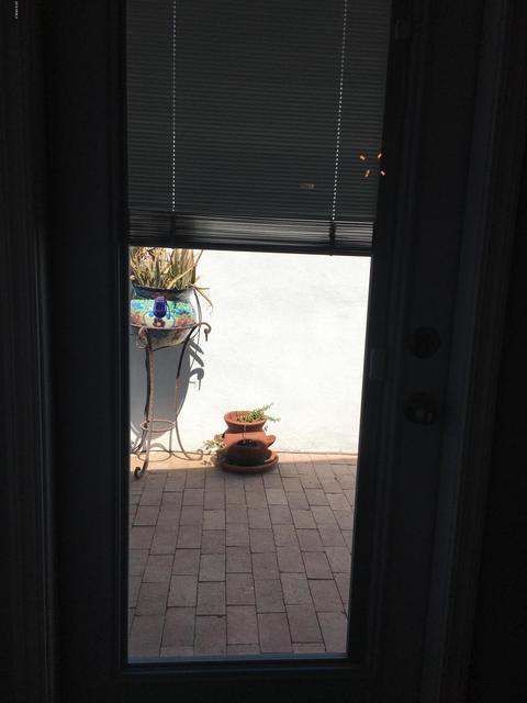 3335 E Pierce St, Phoenix, AZ 85008 photo 54