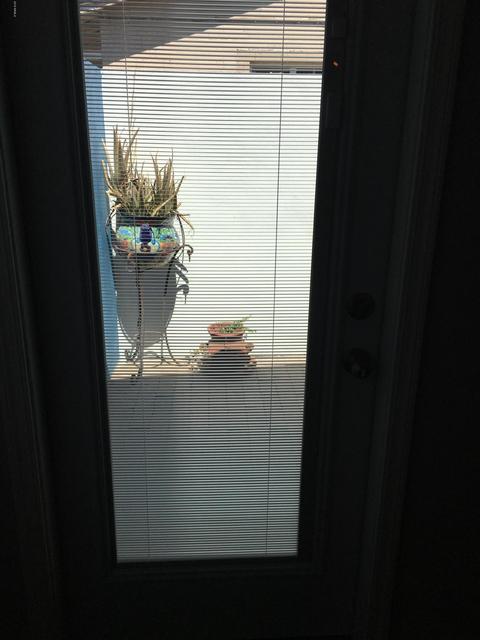 3335 E Pierce St, Phoenix, AZ 85008 photo 53