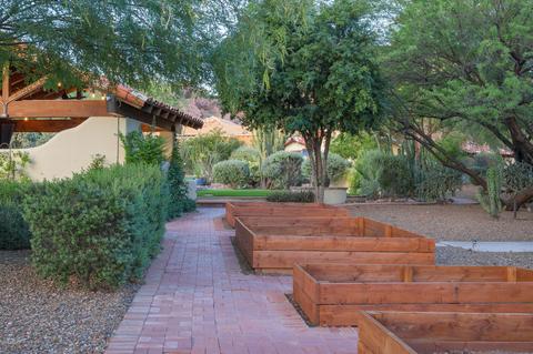 4437 E Arlington Rd, Phoenix, AZ 85018 photo 14