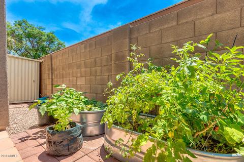4152 E Meadow Dr, Phoenix, AZ 85032 photo 35